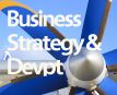 Business Strategy & Business Development